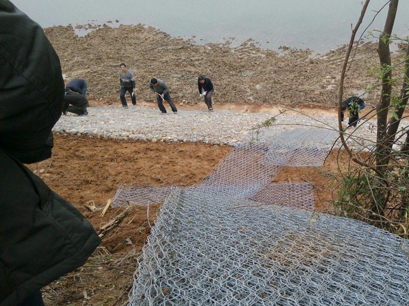 �v�ʯ�\�W�D��